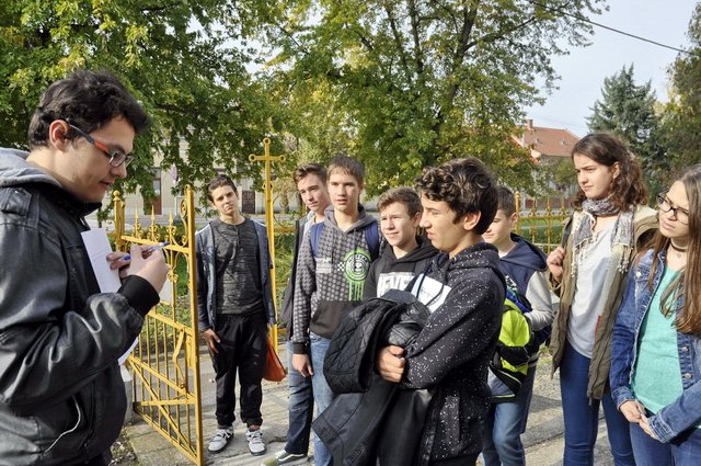 csibetábor az aranyban 25